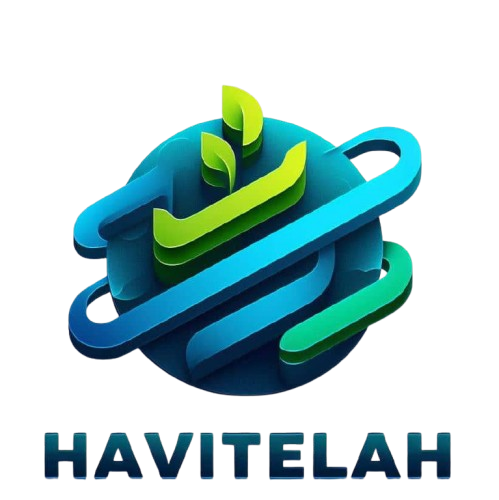 Havitelah Financials logo